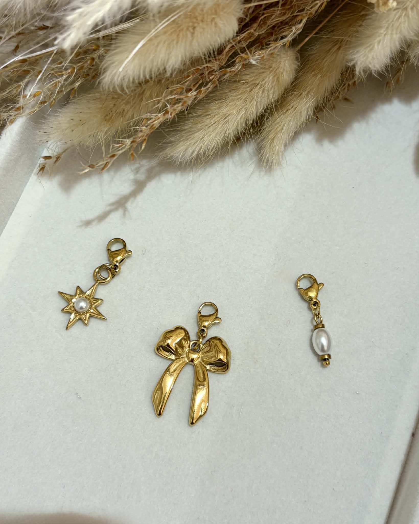 Charms en acier inoxydable