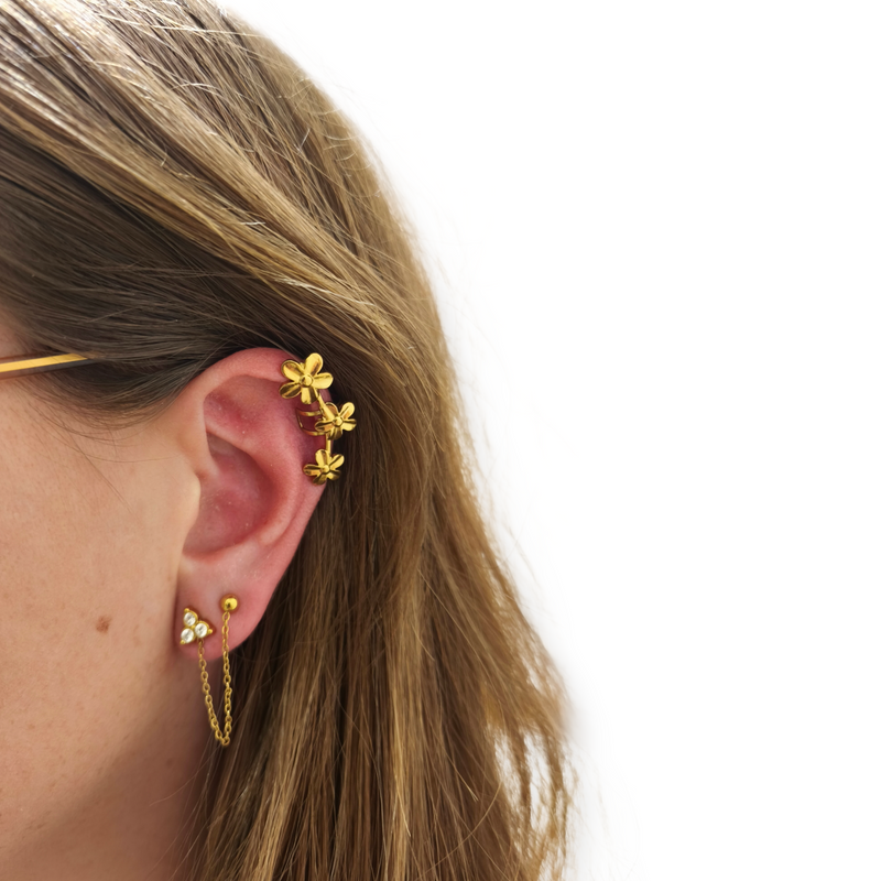 Bijoux d'oreilles