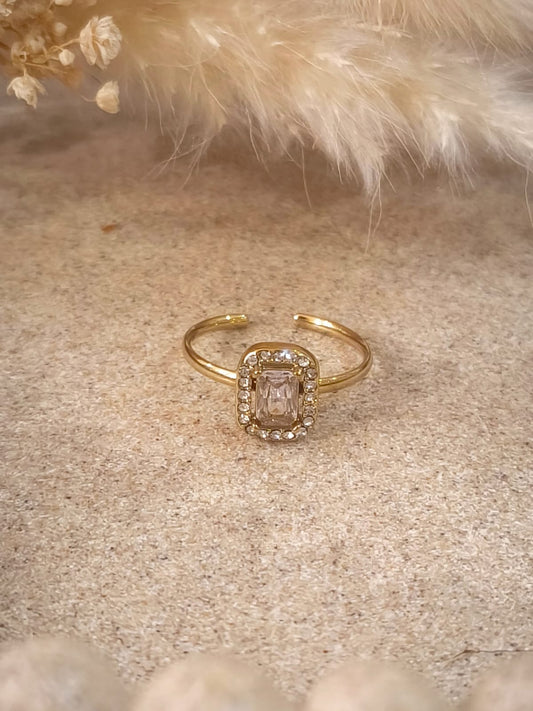 Bague de promesses Flore en acier inoxydable avec boîte