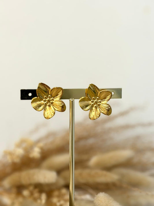 Boucles d'oreilles Esmeria en acier inoxydable