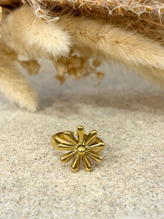 Bague Swania en acier inoxydable