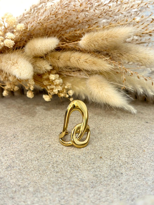 Bague Cleana en acier inoxydable