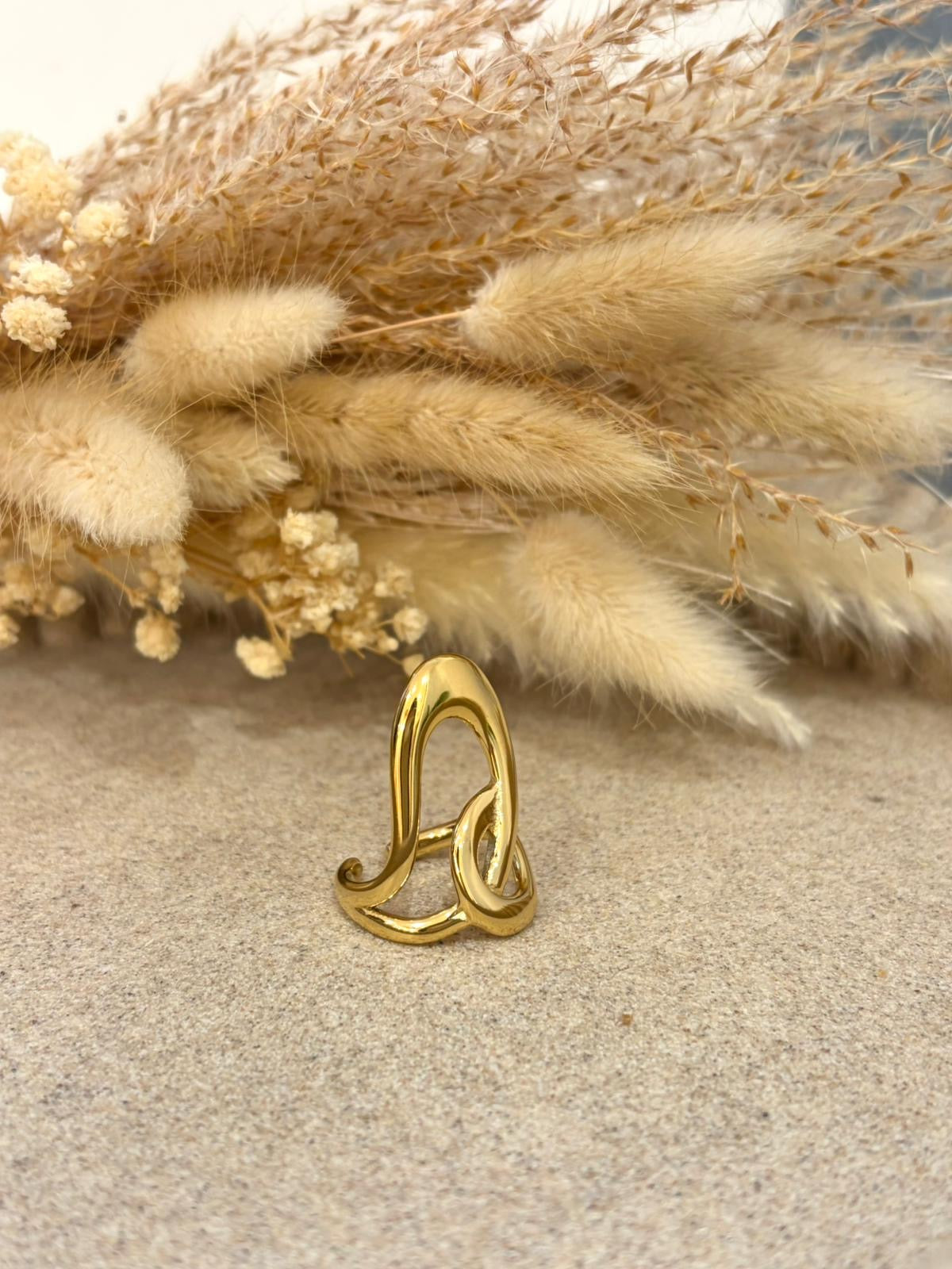 Bague Cleana en acier inoxydable