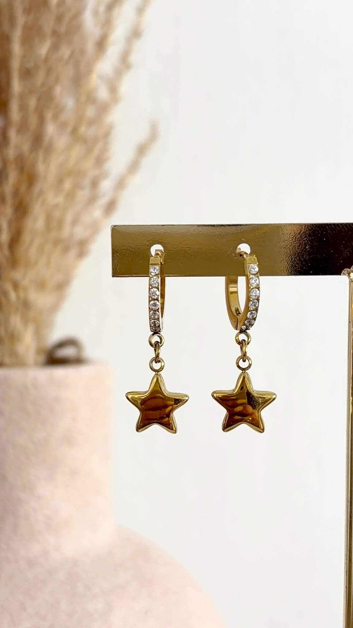 Boucles d'oreilles Astra en acier inoxydable