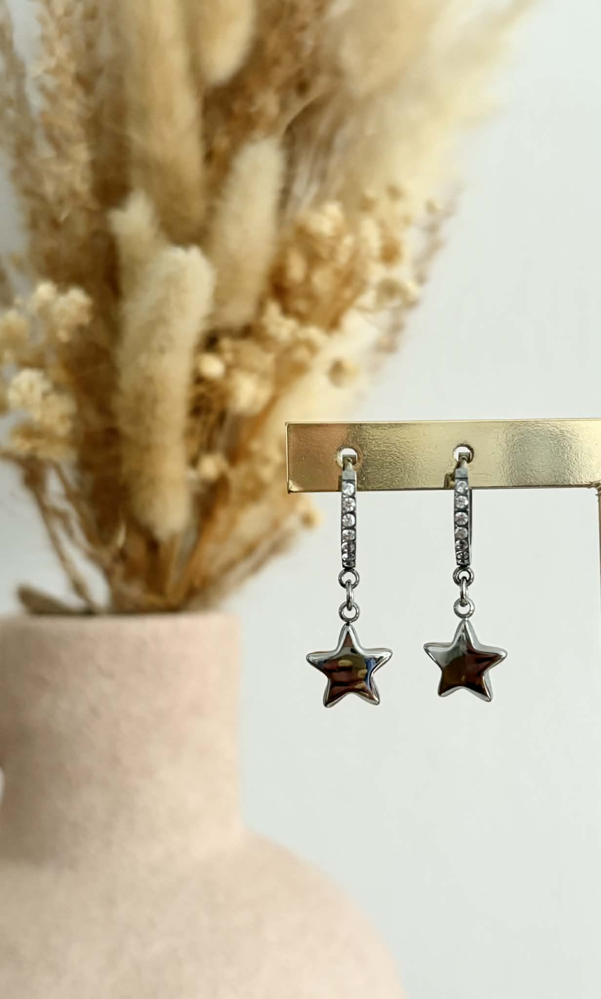 Boucles d'oreilles Astra en acier inoxydable