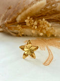 Bague Costa en acier inoxydable